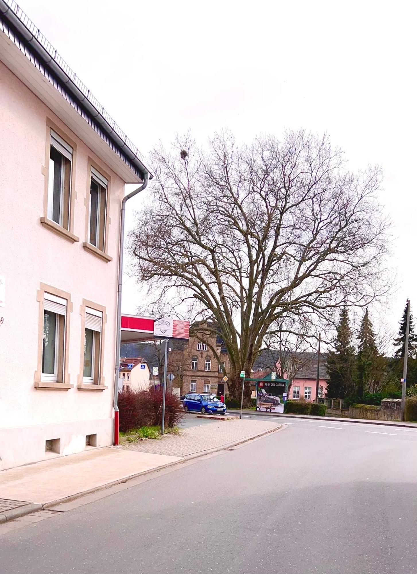Vinaring Homestay Bad Sobernheim Buitenkant foto